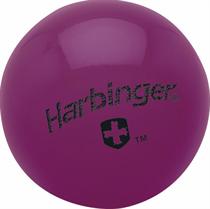 1 lb. Weighted Fitness Ball